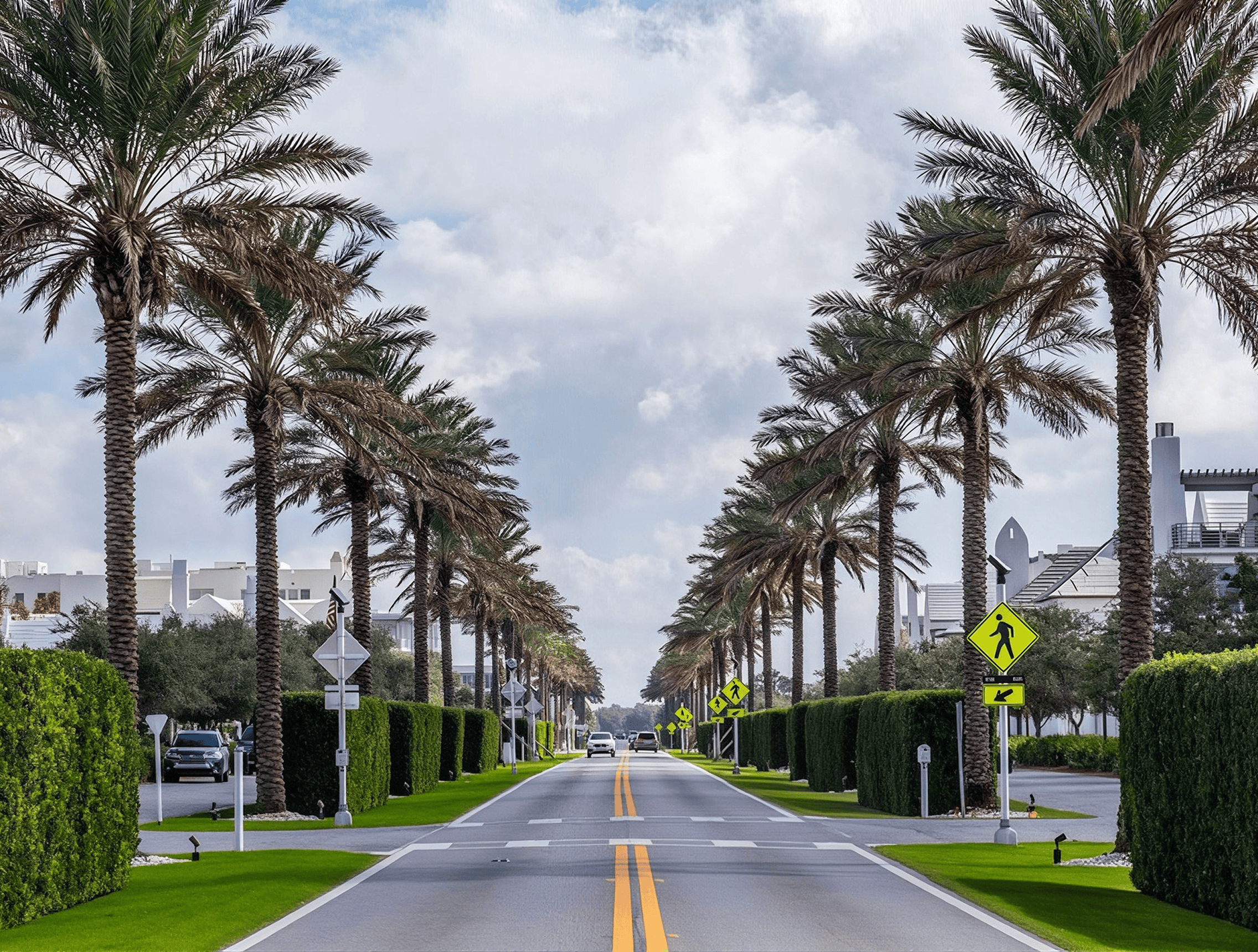 Street lined with palm trees on both sides of it, with vehicles driving along the road, sign boards, bushes