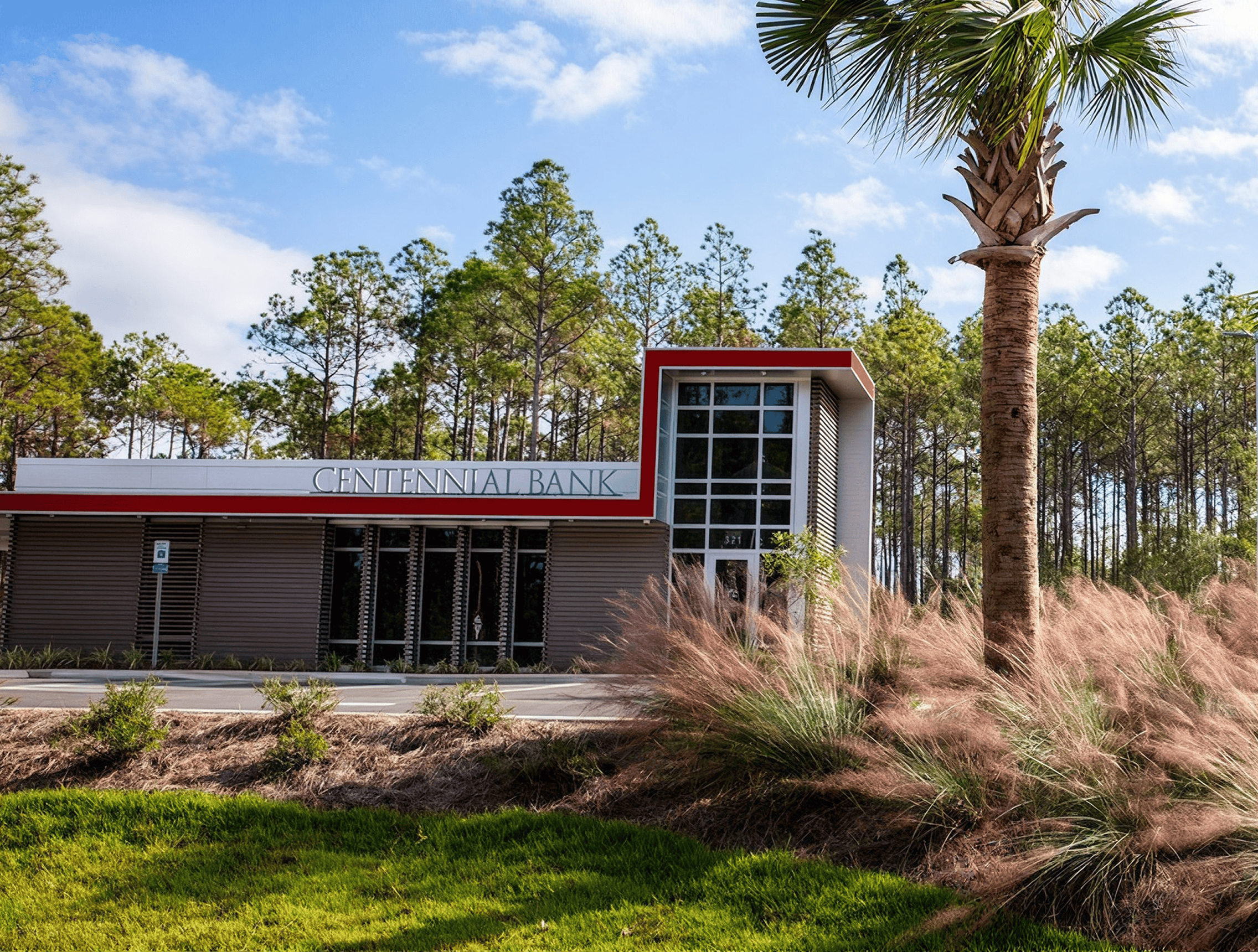 Building with a palm tree in front of it, surrounded by grass and plants