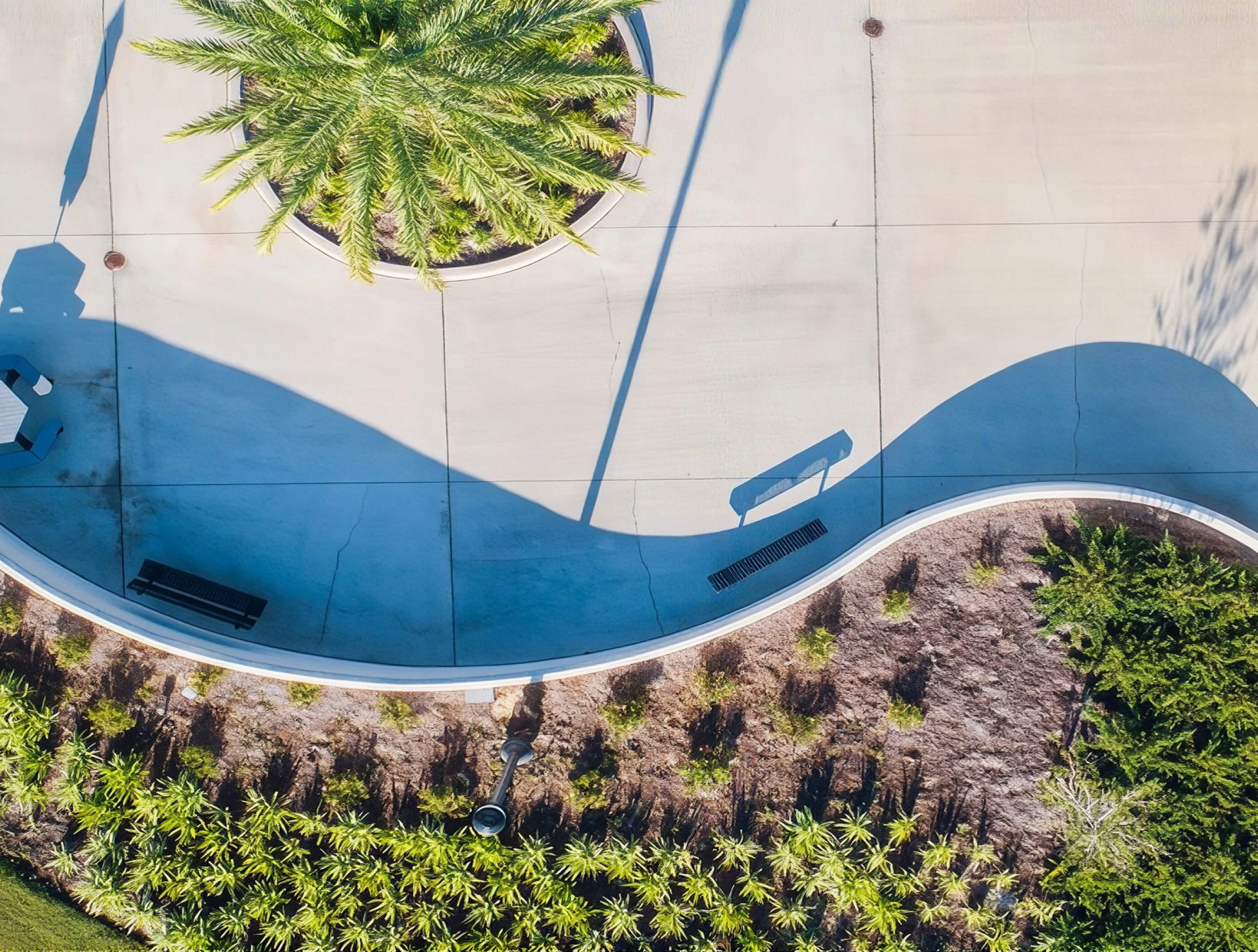 Aerial view of a park with a palm tree in the middle, surrounded by lush green grass and various plants