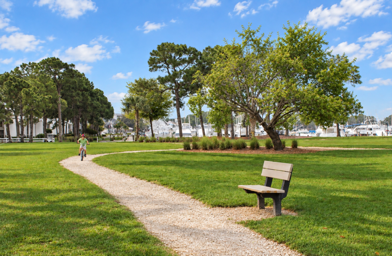 Person riding a bicycle down a path in a park, surrounded by lush green grass, trees, and plants